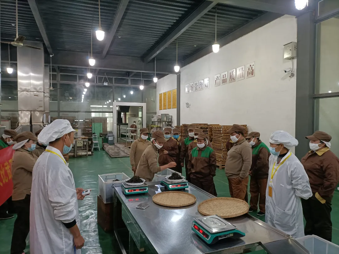 精益求精&middot;鑄造品質(zhì)｜六大茶山第十四屆技術(shù)大比武圓滿完成